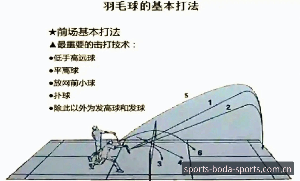 半岛体育新手教程深度评测：从入门到精通的操作体验全解析